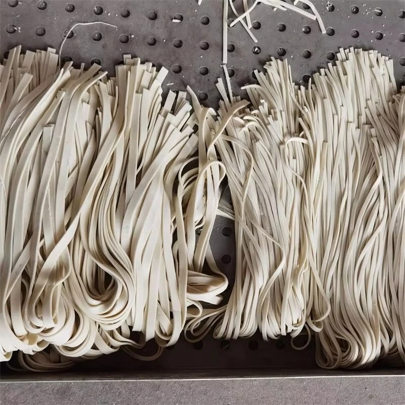 آلة ذكية لصنع المعكرونة والباس - مراجعة Pasta Machine Electric وسعره